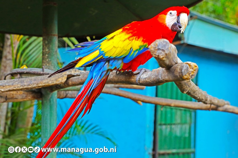 Zoologico-Nacional-44