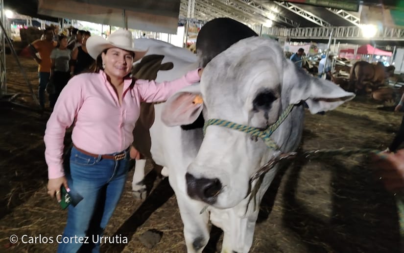 FERIA6