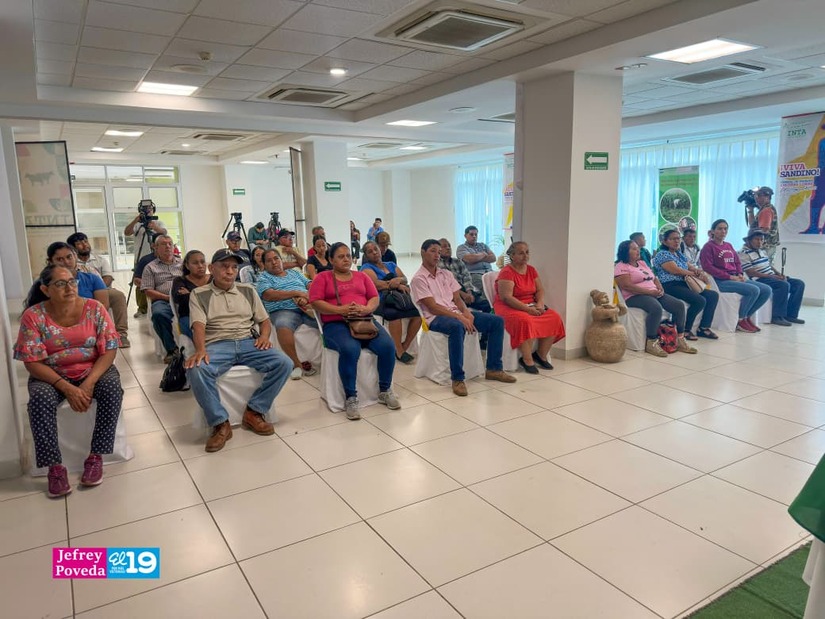 SEMINARIOS4