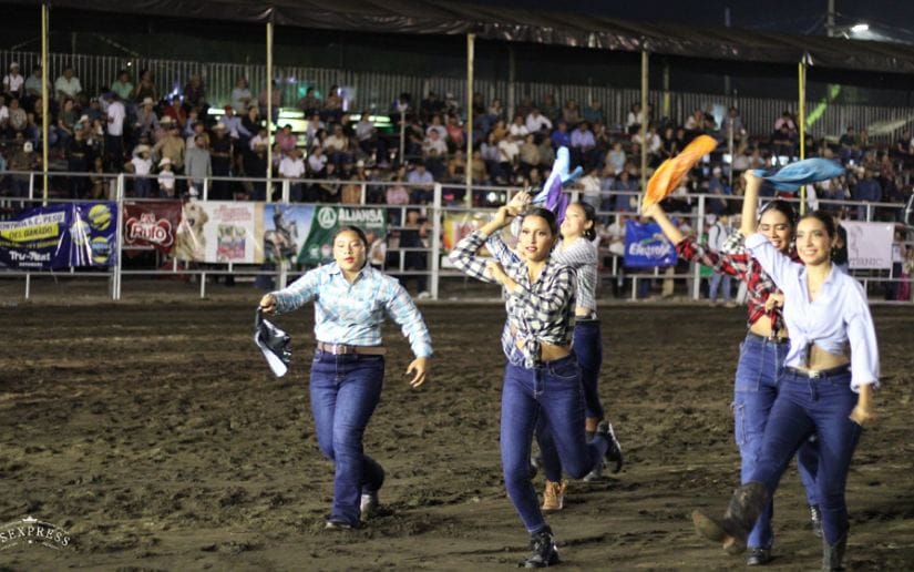 FERIA-(11)