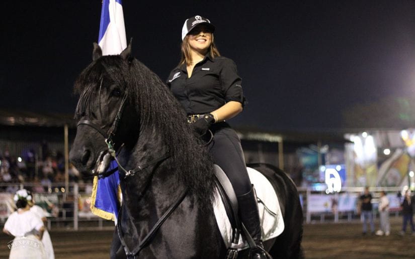 FERIA-(12)