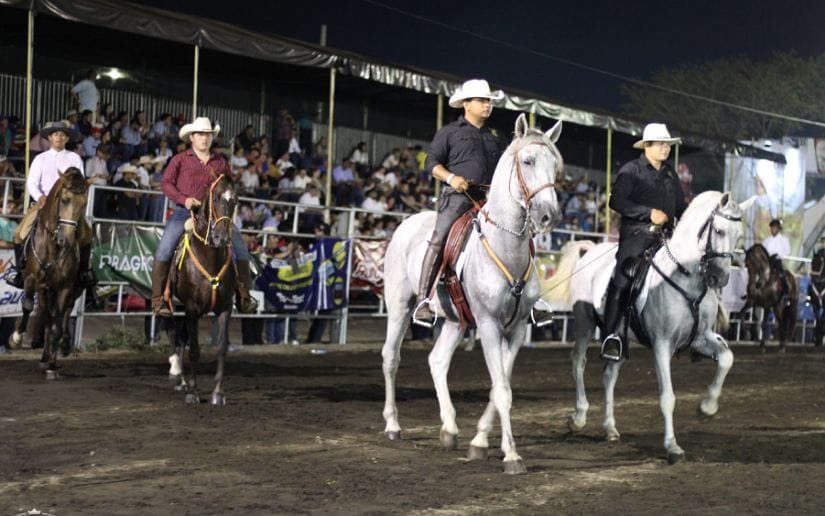 FERIA-(18)