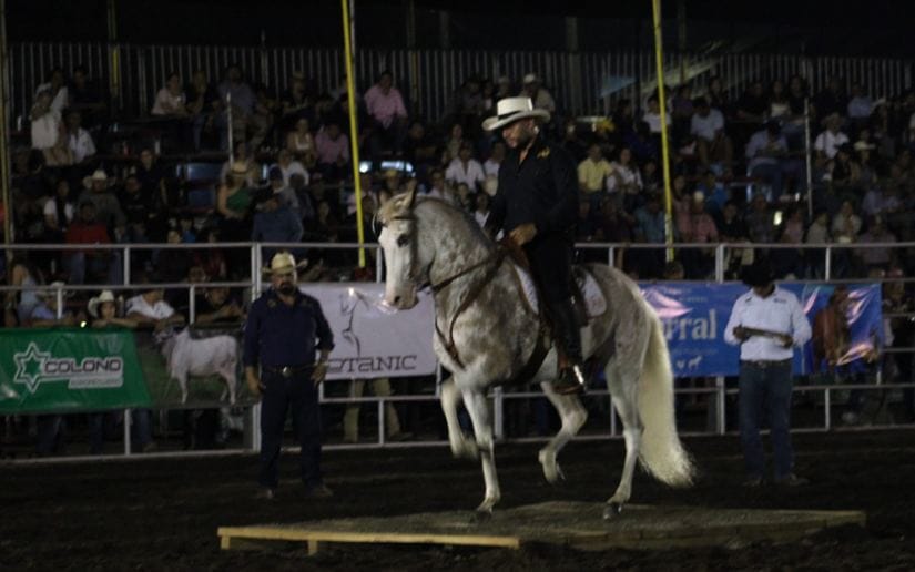 FERIA-(21)