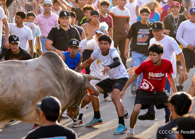 VACAS-(20)