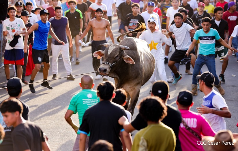 VACAS-(21)