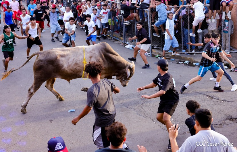 VACAS-(25)
