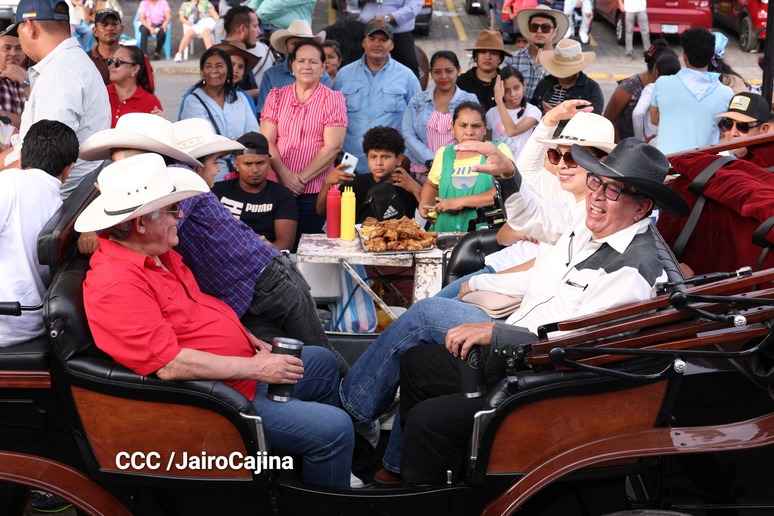 HIPICAS25
