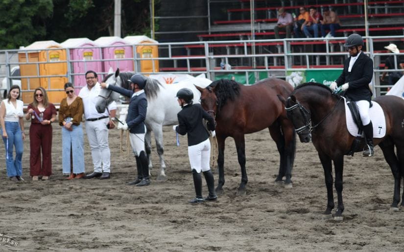 FERIA-(6)