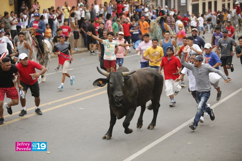 TORO-(35)