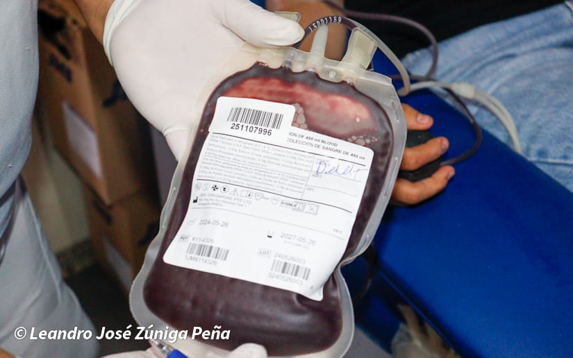 DONACION12