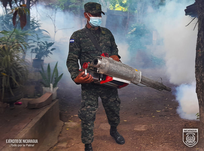 FUMIGACION2