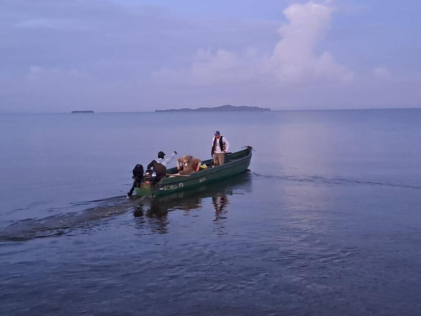 PESCA10