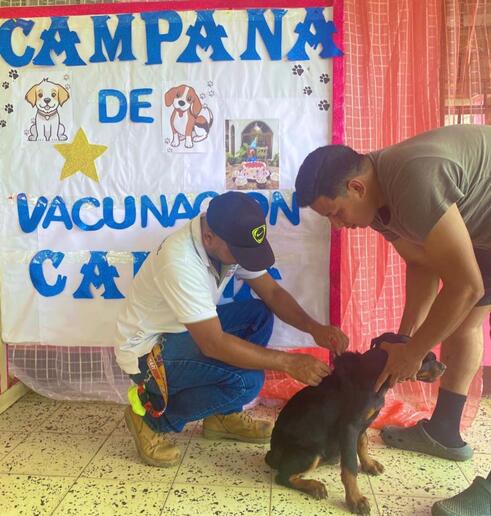 CANINOS15