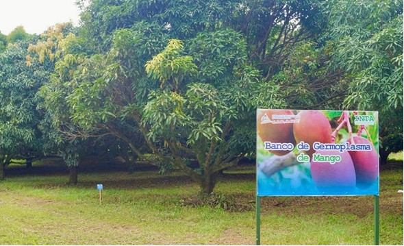 INTA6