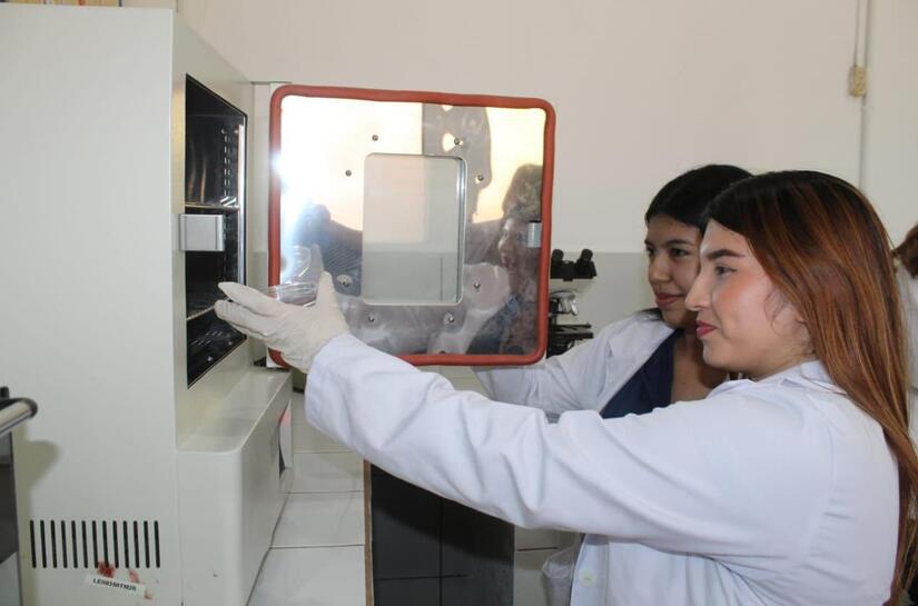 LABORATORIO2