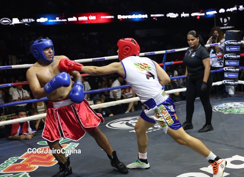 Velada-de-las-Estrellas--(10)