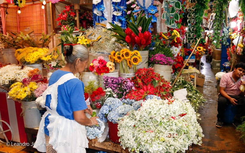 Mercado-Huembes--(42)