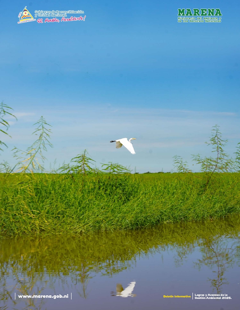 Gestion-Ambiental-10