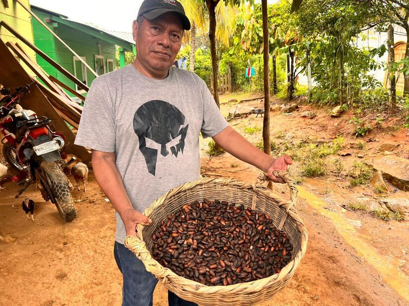 Cacao-en-Nicaragua-1