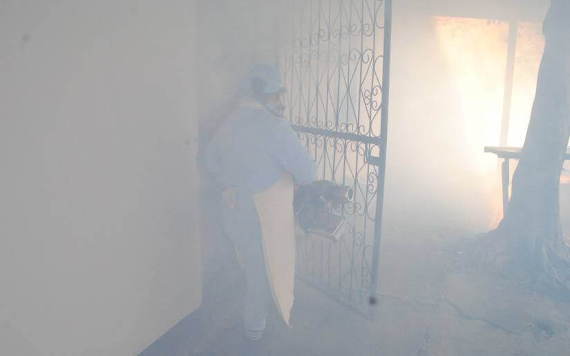 minsa-fumigacion-3