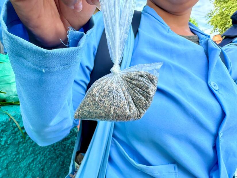 Fumigacion-y-Abatizacion-3