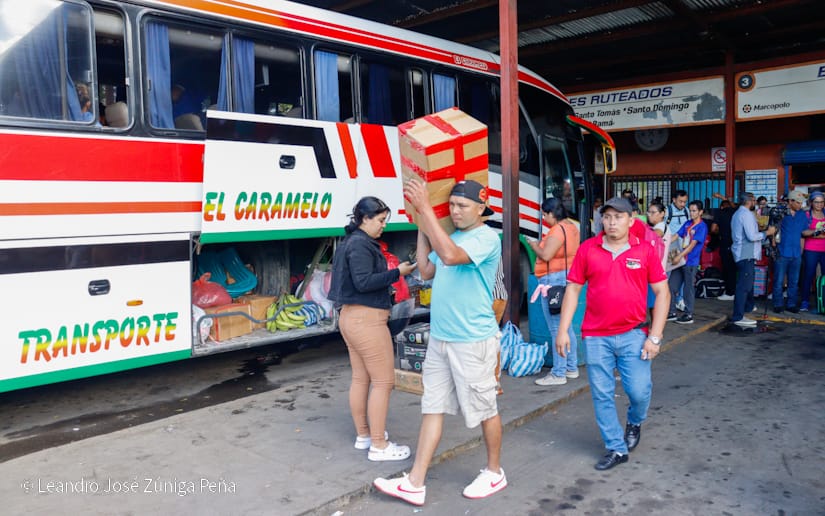 Mercado-Mayoreo--(13)
