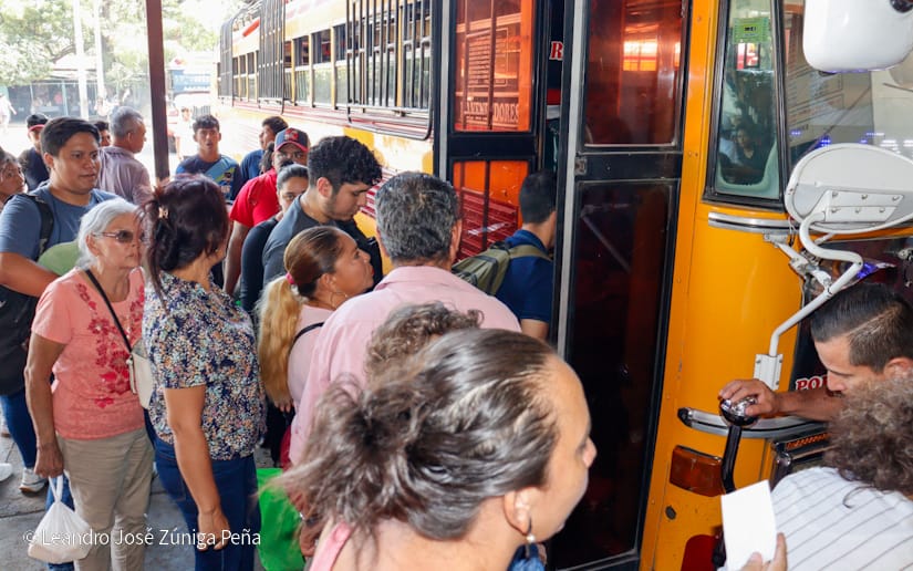 Mercado-Mayoreo--(3)