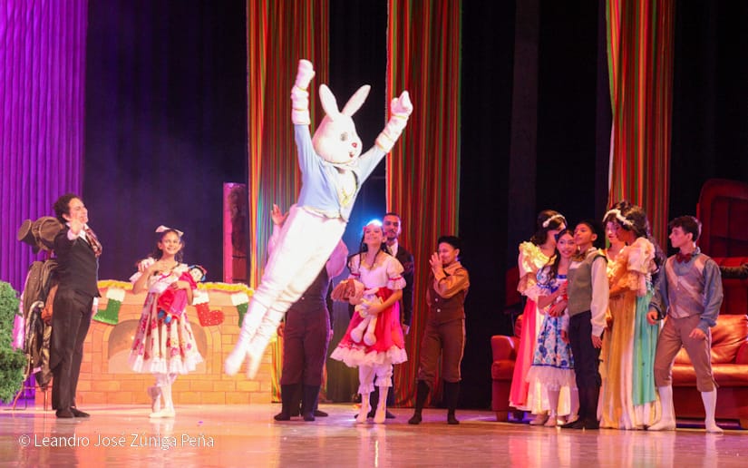 El-Cascanueces--(13)