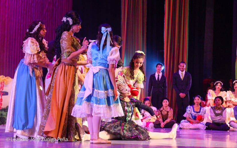 El-Cascanueces--(15)