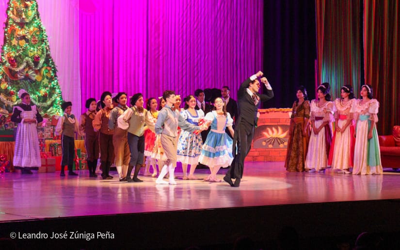 El-Cascanueces--(29)