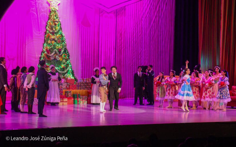 El-Cascanueces--(31)