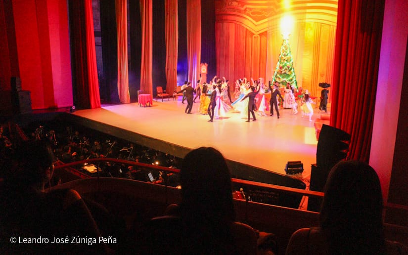 El-Cascanueces--(51)