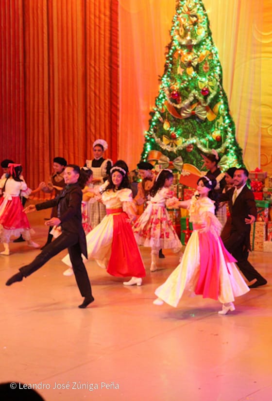 El-Cascanueces--(58)