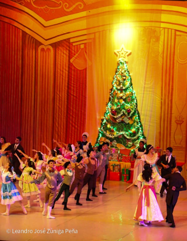 El-Cascanueces--(61)