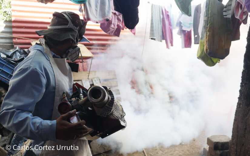 Fumigacion-11