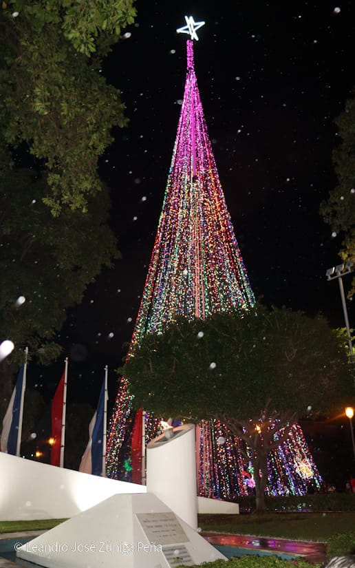 Avenida-Bolivar--(35)