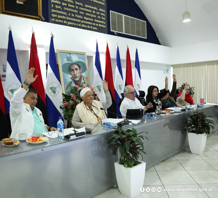 Asamblea-Nacional--(10)