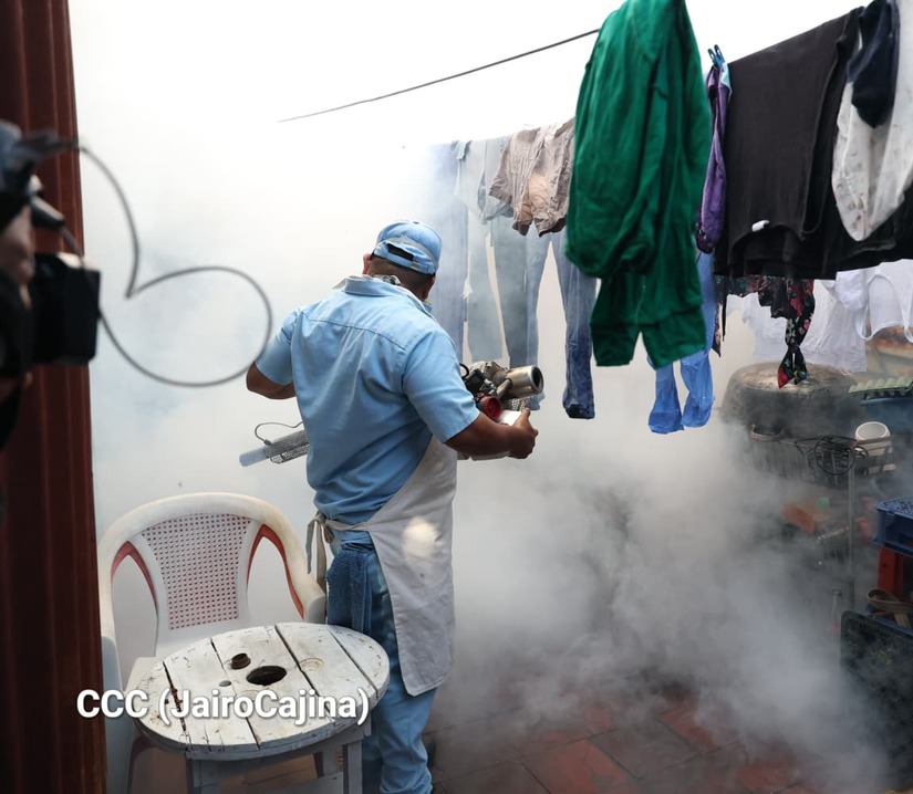 Fumigacion--(6)