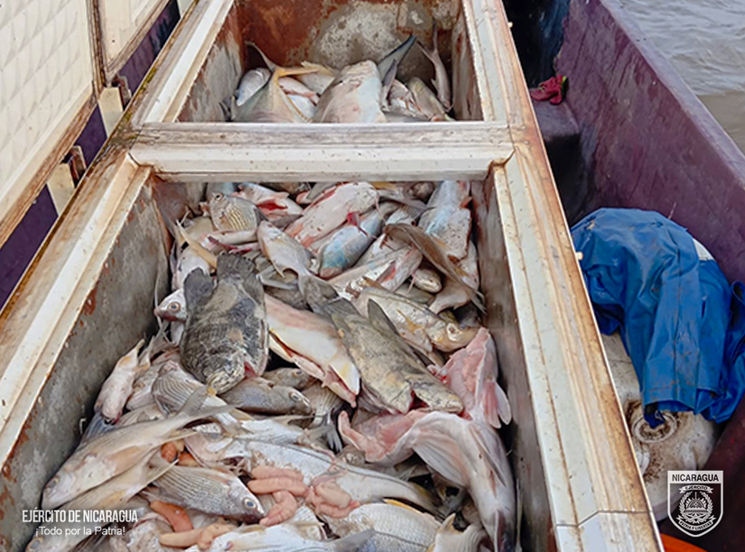 Ejercito-de-Nicaragua6