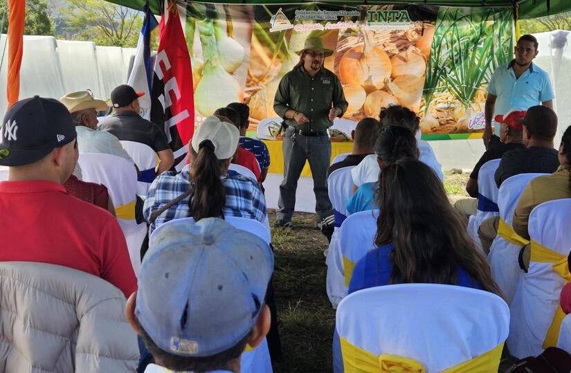 Productores-de-Cebolla2