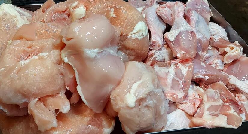 POLLO5