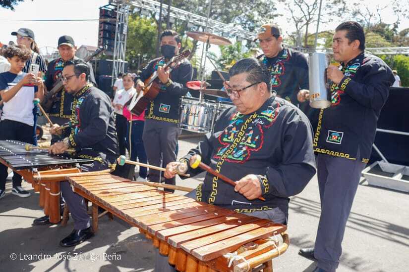 TRADICIONAL-PICADILLO-DE-DIRIAMBA20