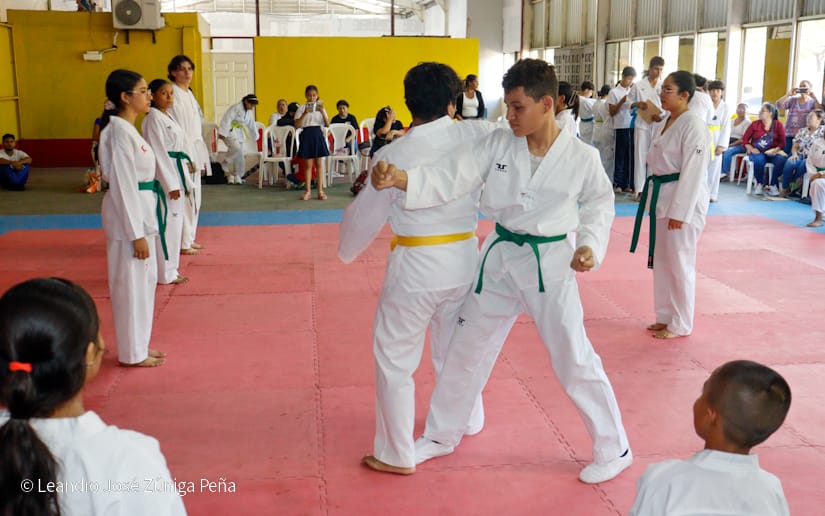 ACADEMIA12