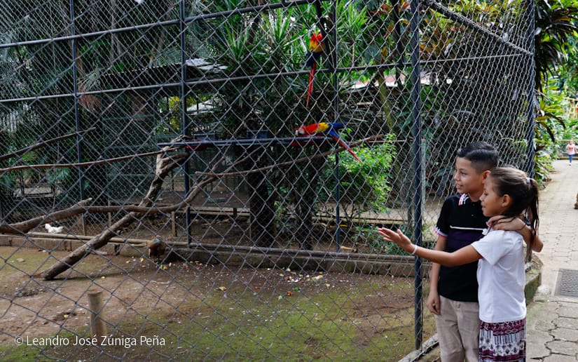 Zoologico-Nacional-(15)
