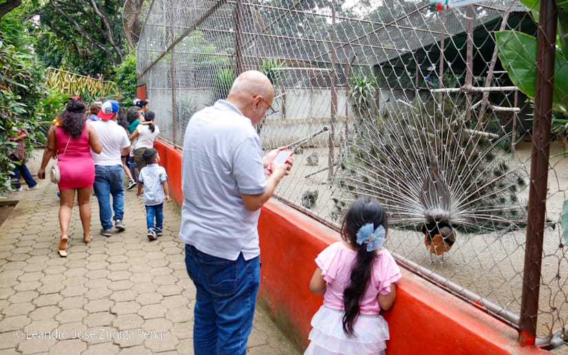 Zoologico-Nacional-(17)