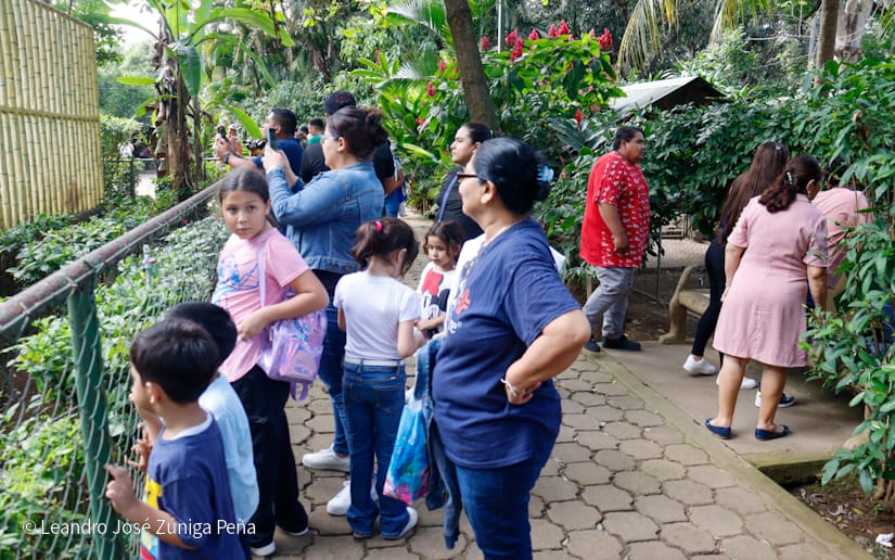 Zoologico-Nacional-(33)