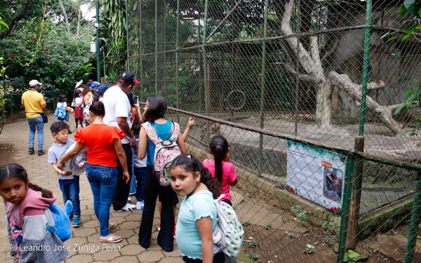 Zoologico-Nacional-(5)