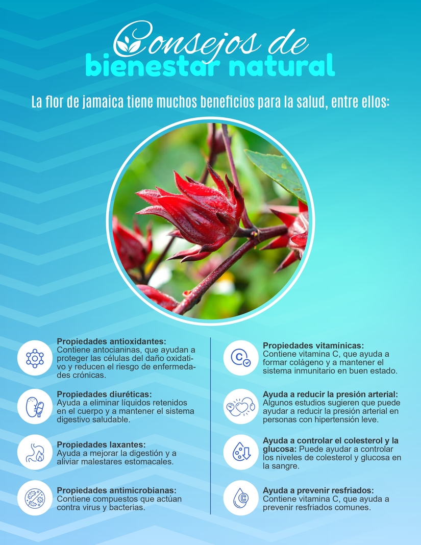 BOLETIN-INFORMATIVO-DEL-27-DE-ENERO-AL-2-DE-FEBRERO_pages-to-jpg-0011