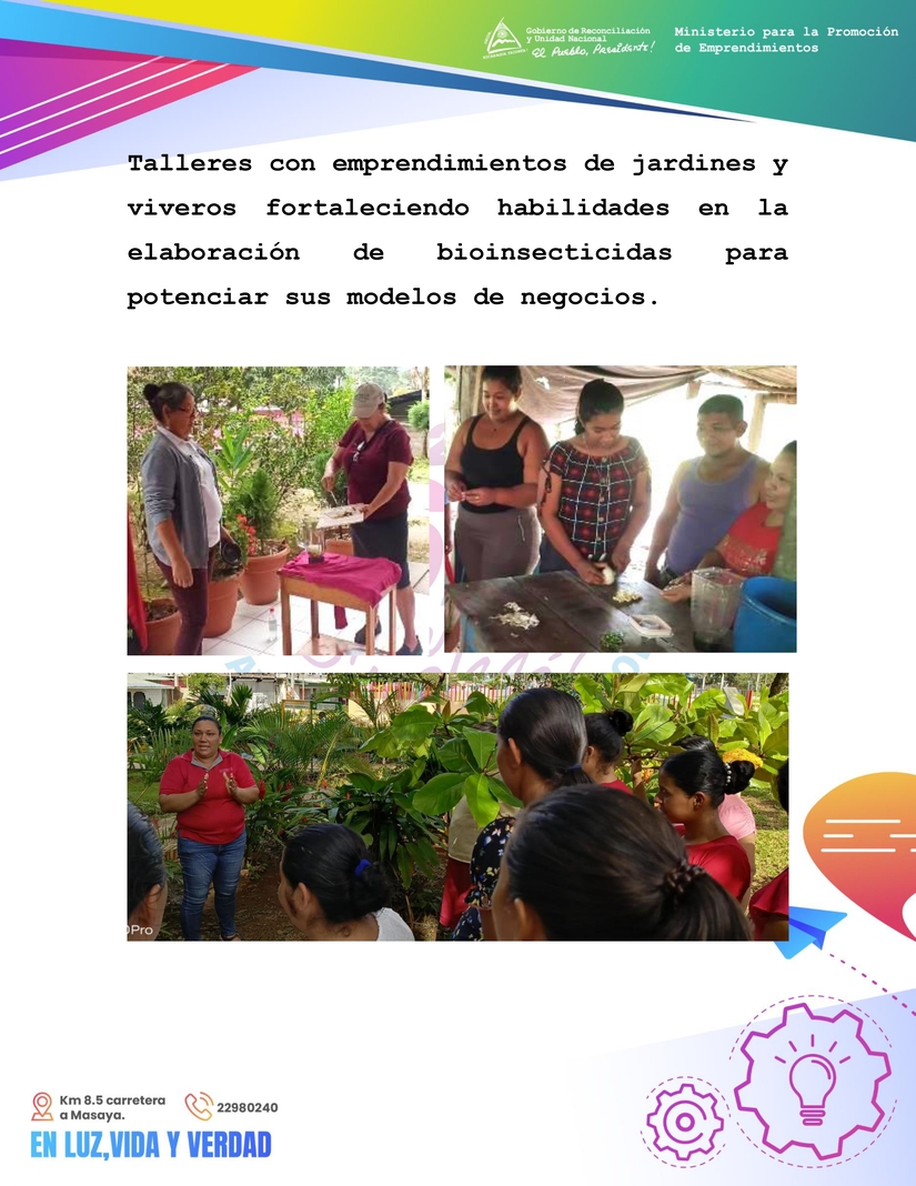 MTRIO-PARA-PROMOCION-DE-EMPREND---GALERIA-FOTOG---3-FEB---INFORME-DE-GESTION-INST_pages-to-jpg-0003