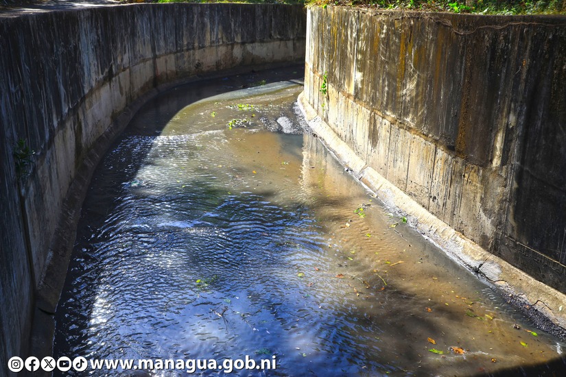 LIMPIEZA-DE-CAUSES-10